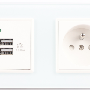 双 USB+法标组合