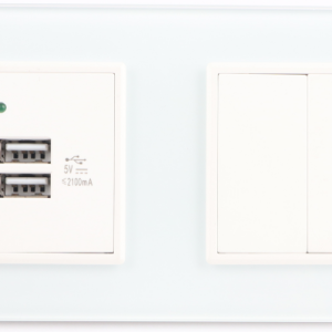 双 USB+意标组合